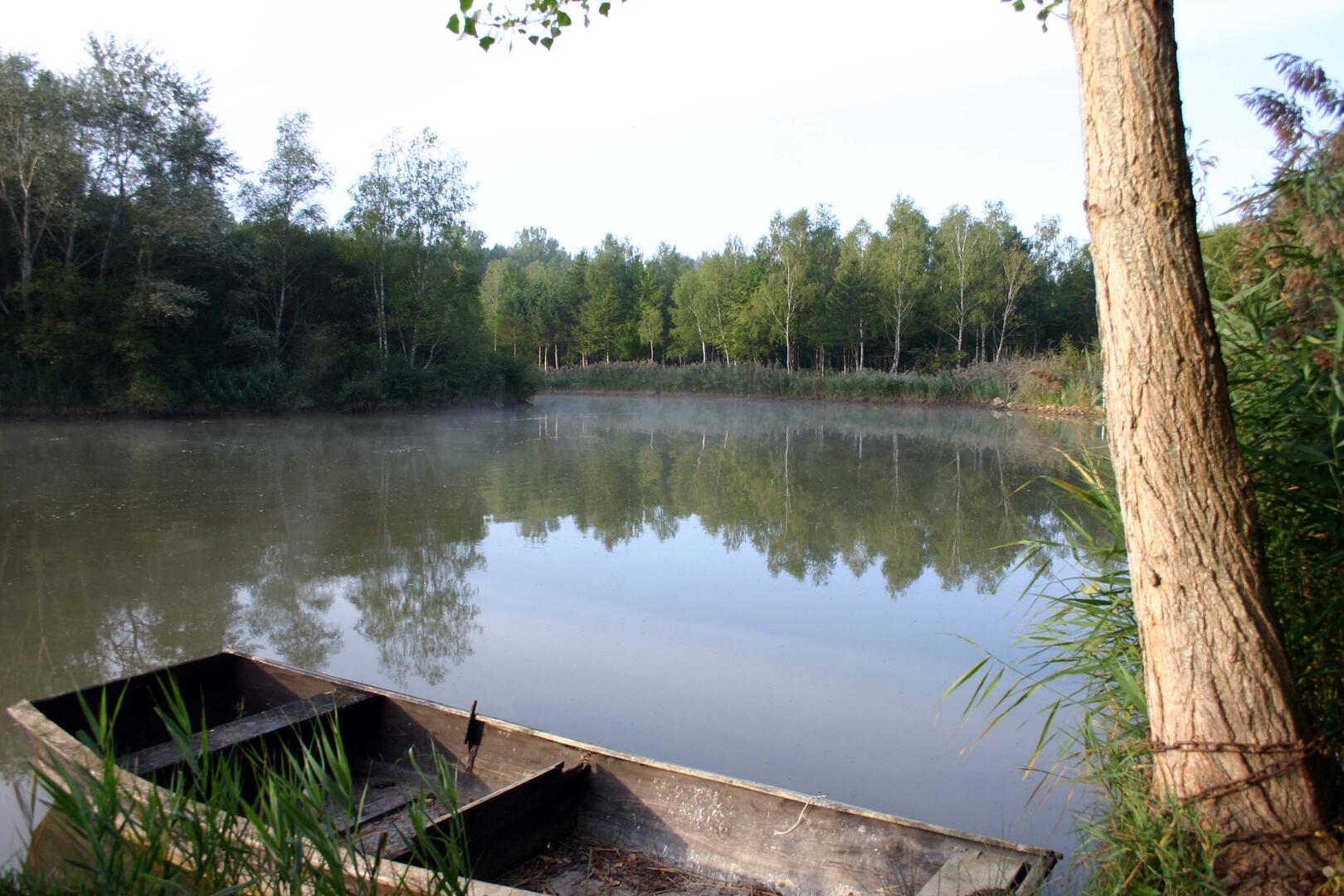Fondoire Barque.jpg_1