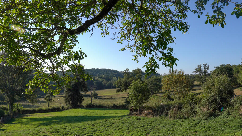 St_Pardoux-D-arnet--paysage-Saison_D_Or.jpg-1024px.JPG_1