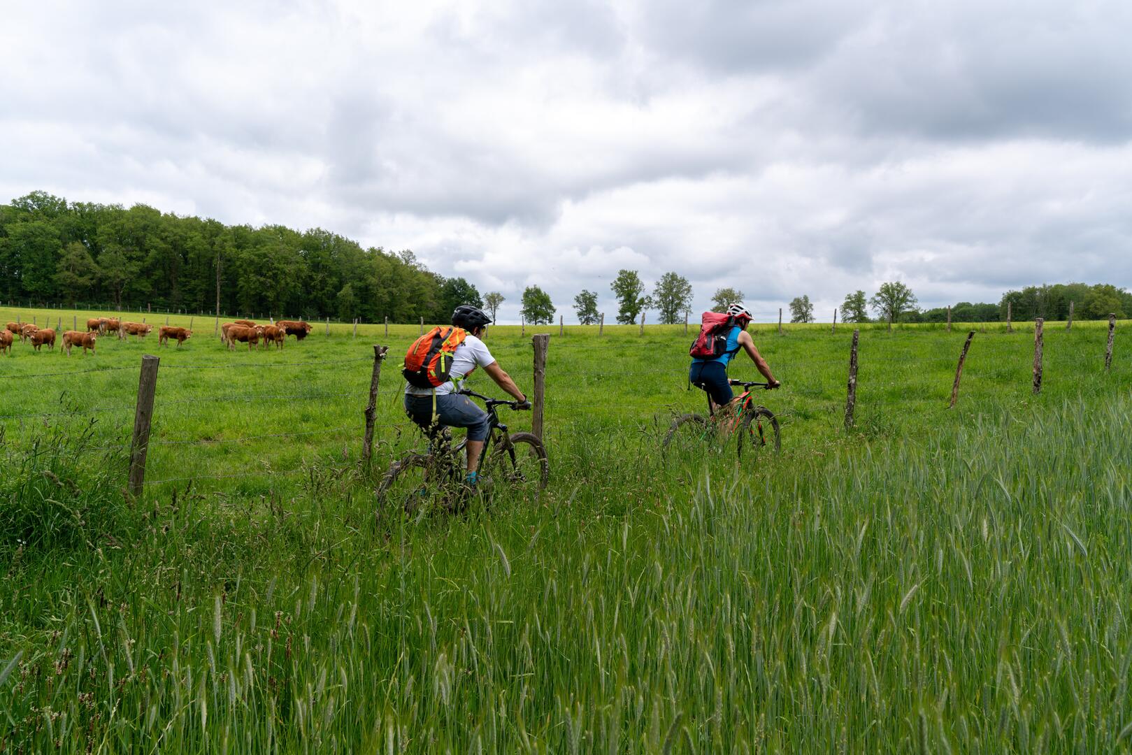 GT VTT La_Souterraine_Saint-Silvain-Montaigut_300dpi-50 Crédit Guillaume Condat.jpg_1