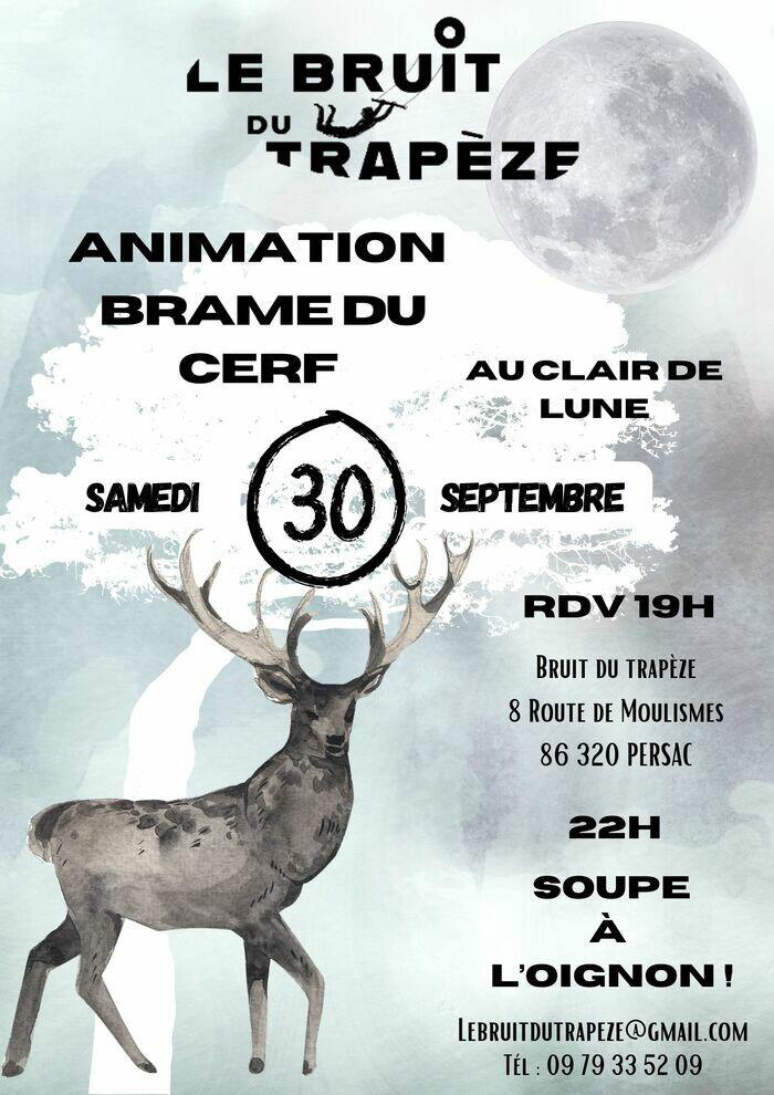 Brame du cerf à la pleine lune et soupe à l'oignon_1