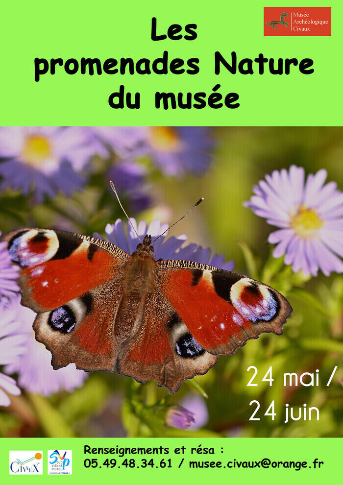 Les promenades nature du musée_1