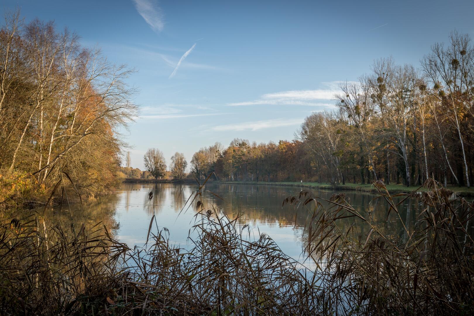 Etang de Guesnes