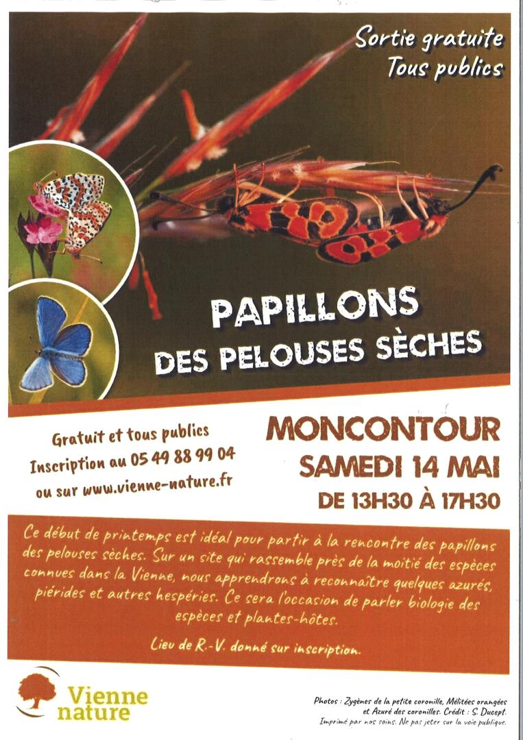 Papillons Moncontour