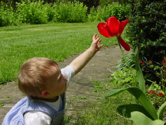 Pause doudou le rendez-vous des bébés_1