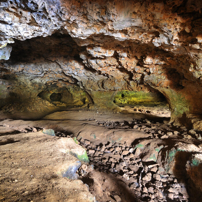 Balade préhisto' "Du musée aux grottes"_1