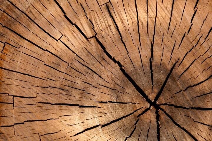 bois_1