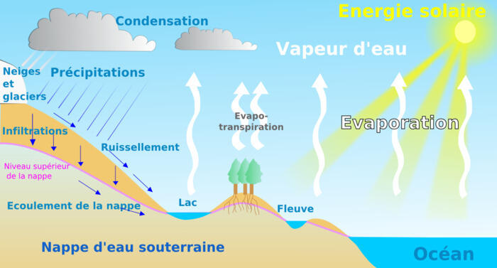 Découverte du cycle de l'eau : atelier scientifique et nature_1