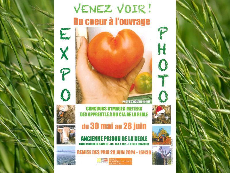Exposition