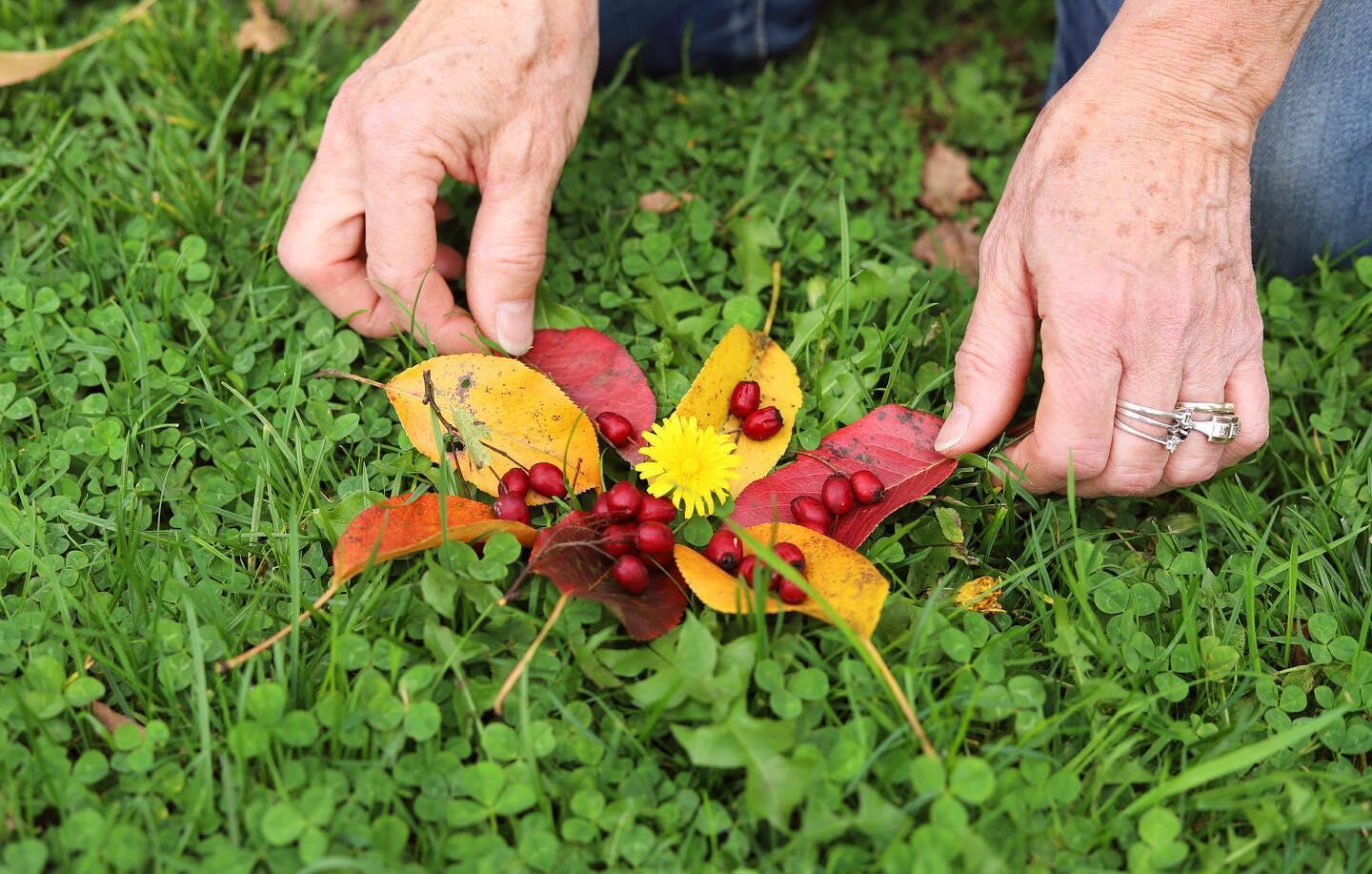 Atelier de Land Art_1