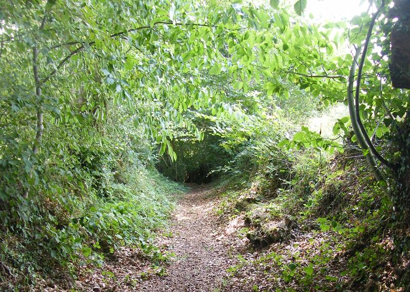 9_Le Ferre_Chemin creux