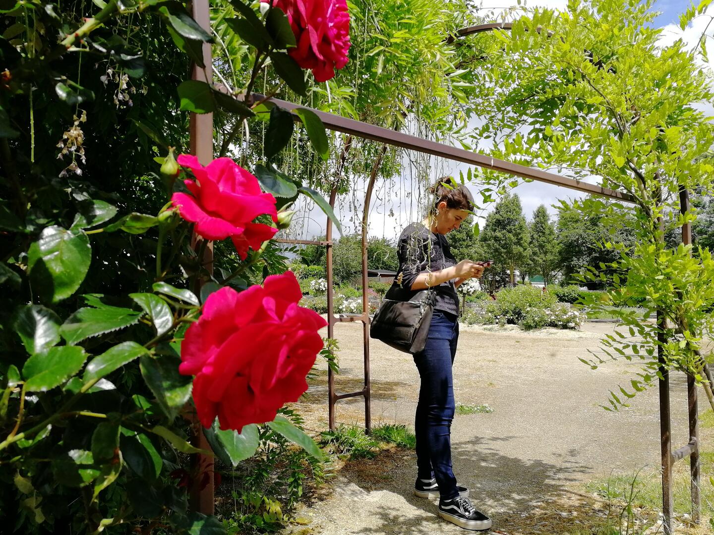 Jardin médiéval Bédée