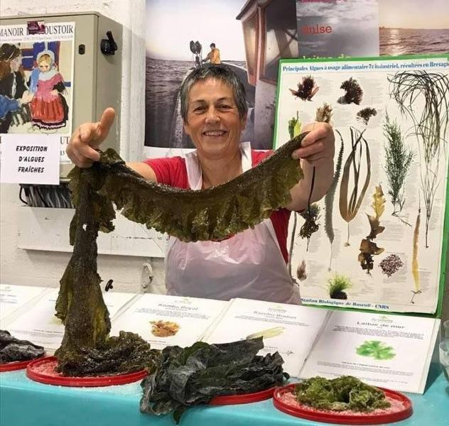Atelier cuisine des algues avec Scarlette- Guilvinec - Pays Bigouden