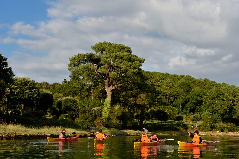 Patrimoine et nature du Golfe du Morbihan