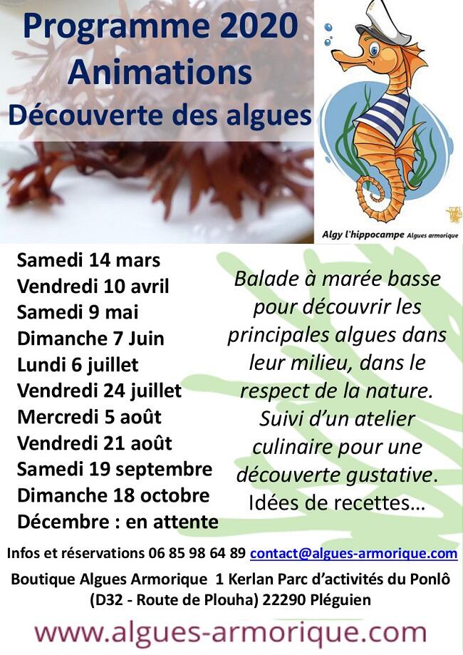 20-animations-affiche