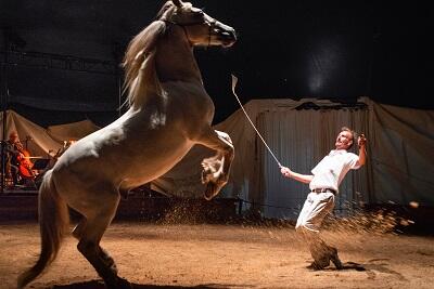 tabula-facettes-cirque-equestre-Panik-Melrand©Thibaud Morin