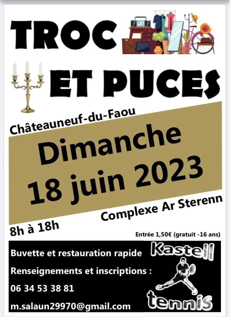troc et puces chateauneuf