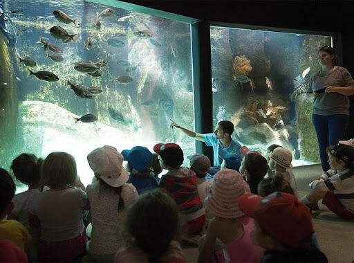 visite Aquarium
