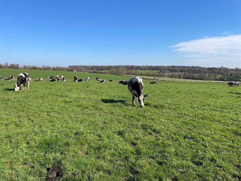 Visite - ferme - Rougeraie - Forges de Lanouée