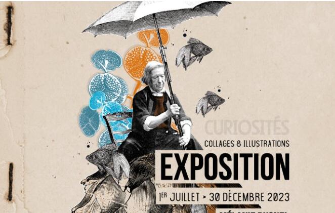 vernissage expo curiosités