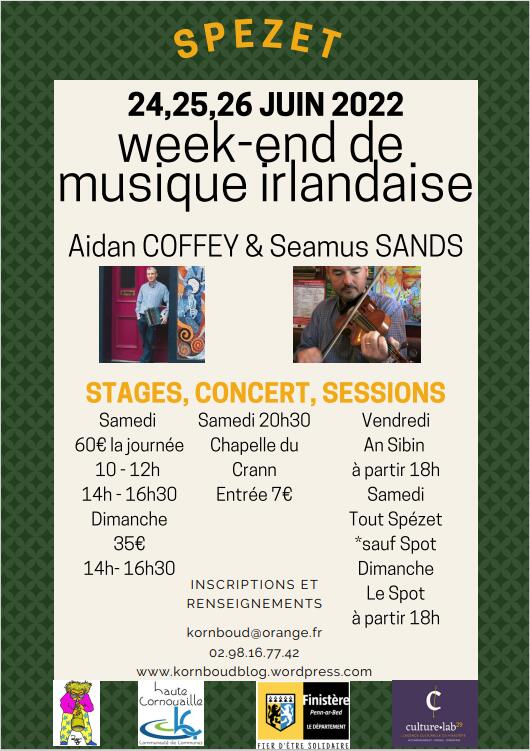 week end de musique irlandaise