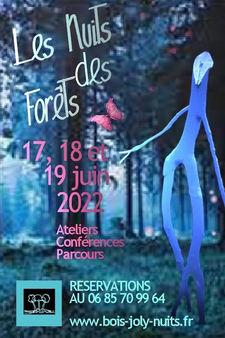 AFFICHE NUITS.2