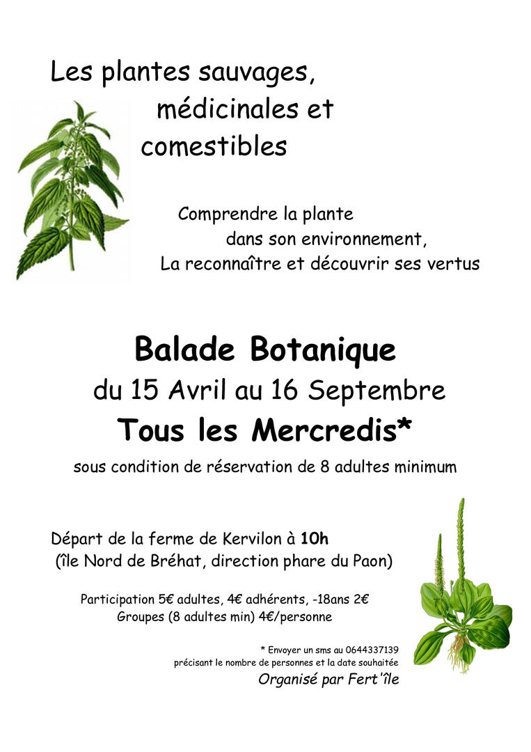 Affiche-Balade-Botanique Fertile