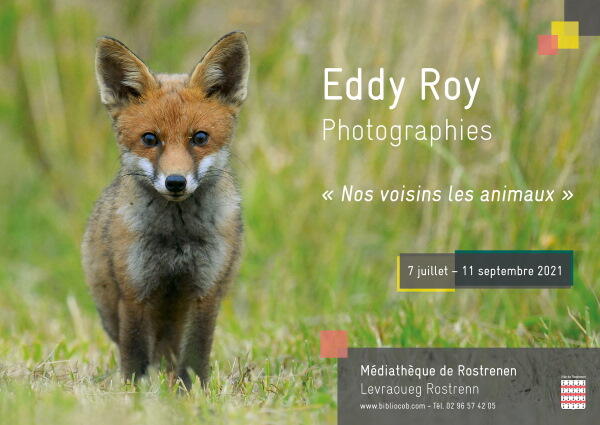 Affiche_Eddy_Roy_Renard (1)