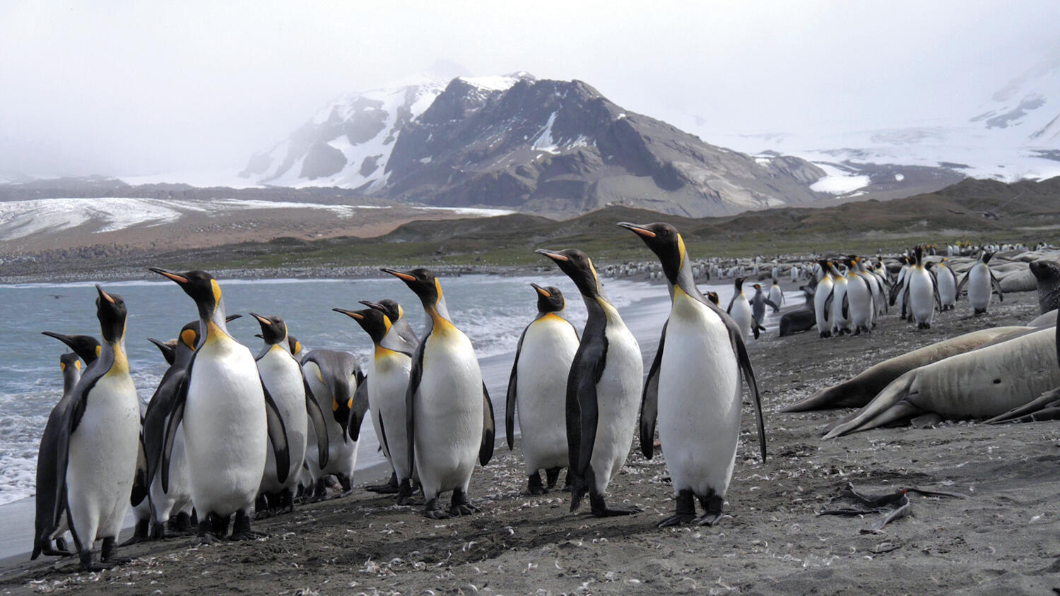 Antarctique