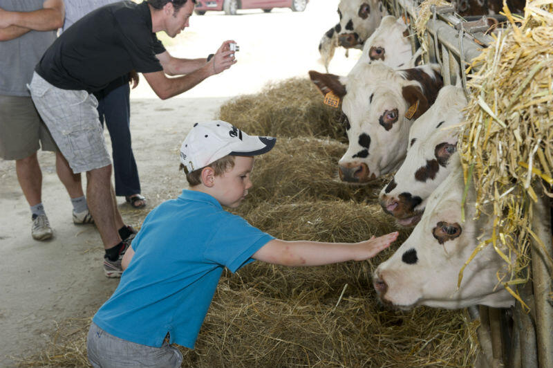 Après-midi à la ferme