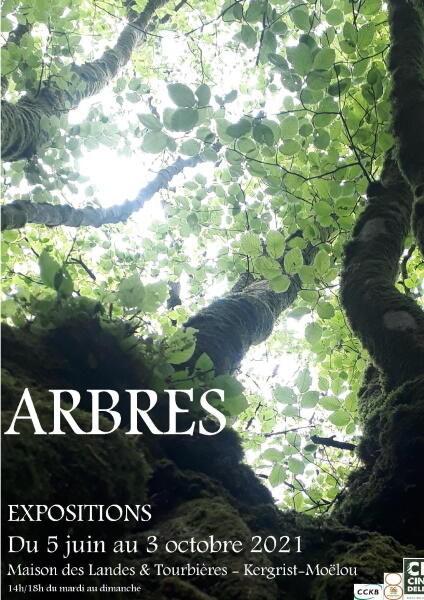 Arbres - 2