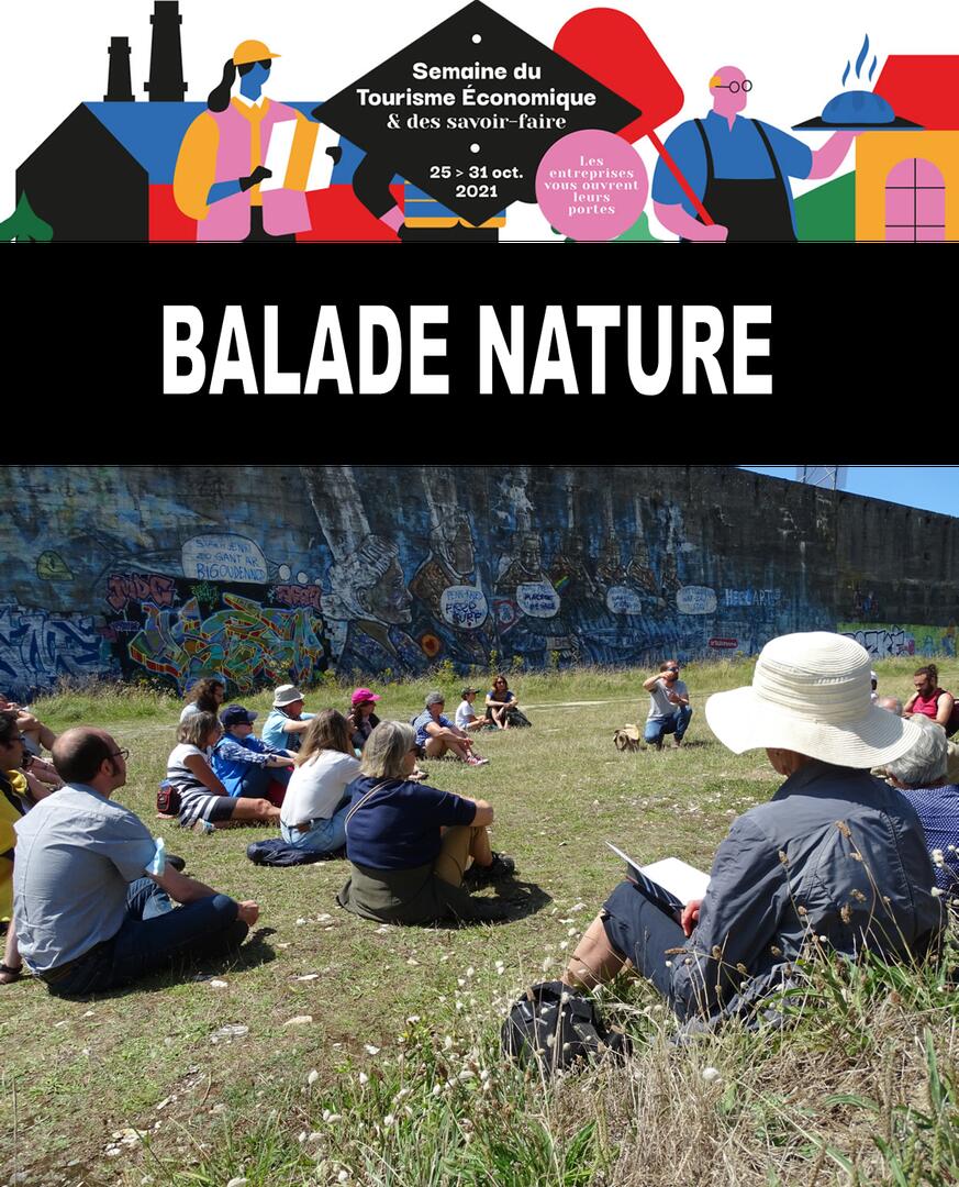 Balade nature Concasseur