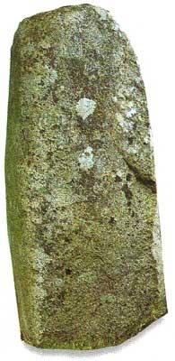 img-name-mising
