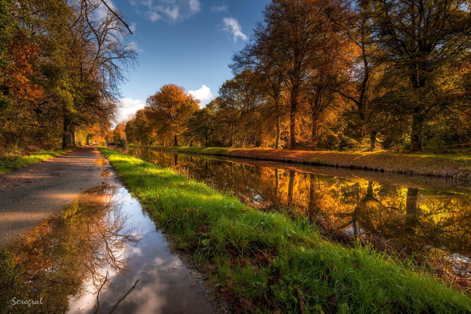 Canal22 Automne