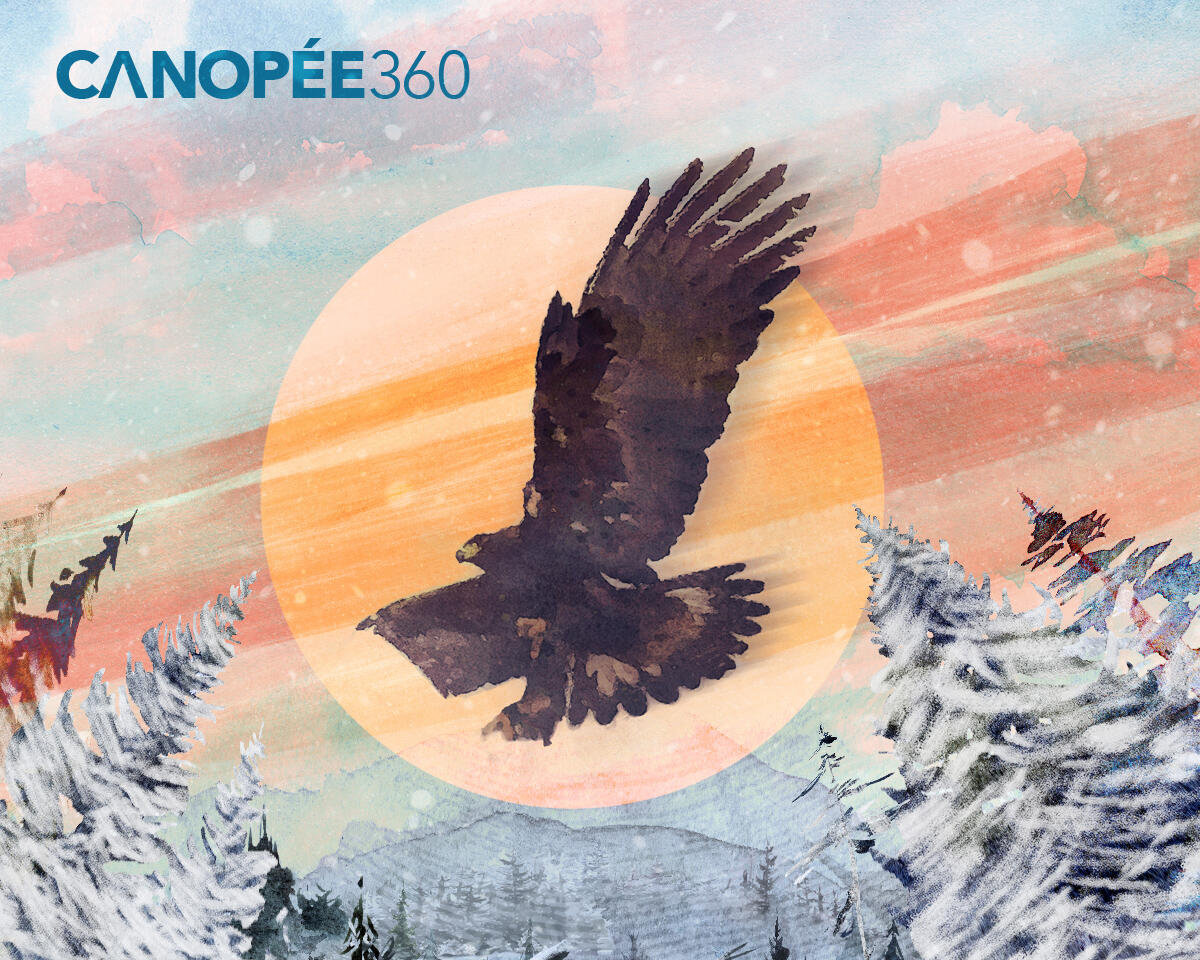 Canopée - 1juilau27aout2022 ©téléquébec