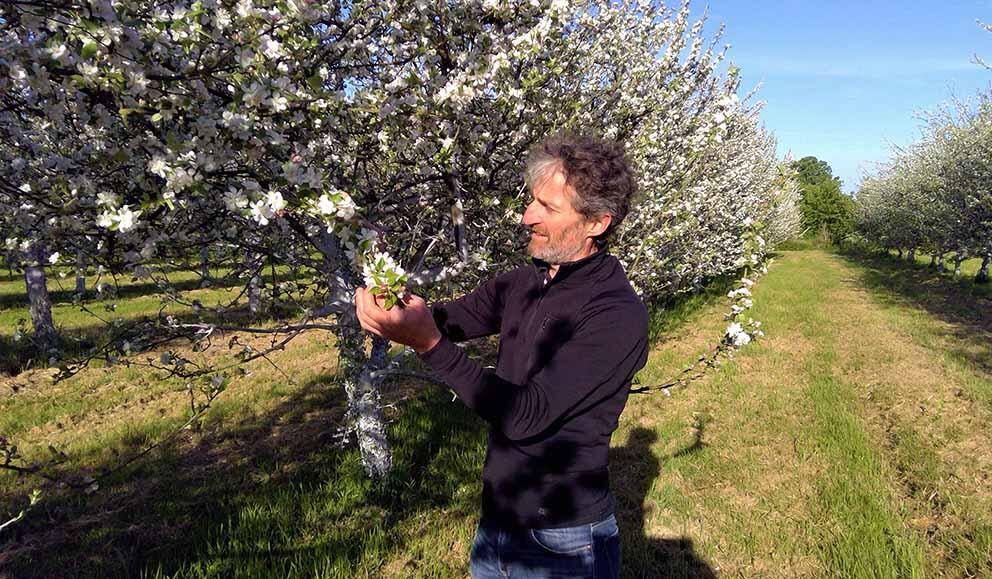 Cidre-Tropee