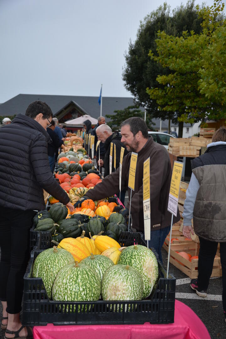 marché cucurbitacés-pouldreuzic-pays bigouden
