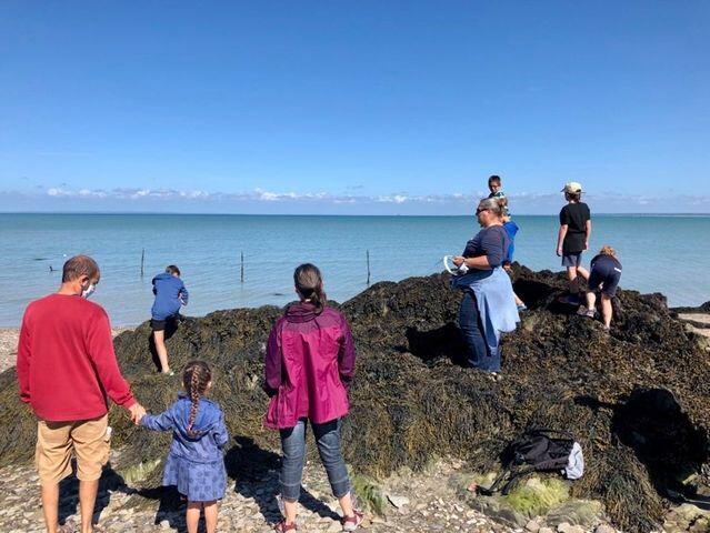 Escap'algues01 - Sortie algues Individuels - Annaontourisme - Ferme Marine Cancale - Juillet 2020