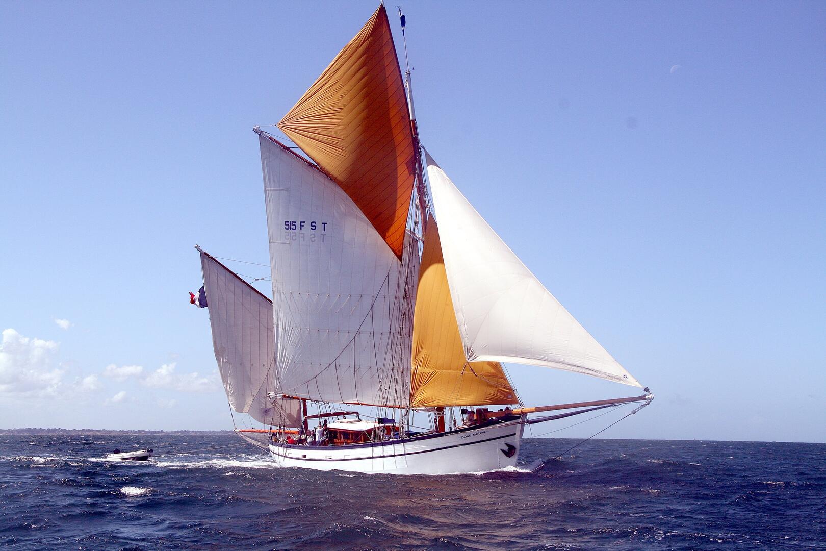 Etoile Marine - Jérôme COUASNON (4)