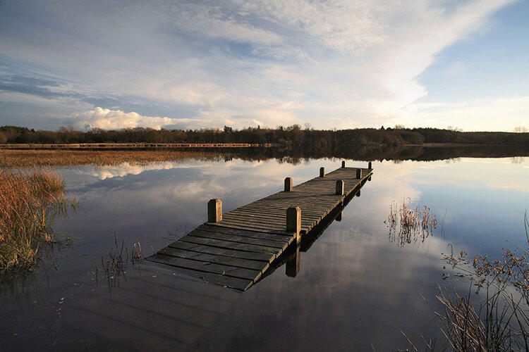 Etang du Moulin Neuf Plounérin