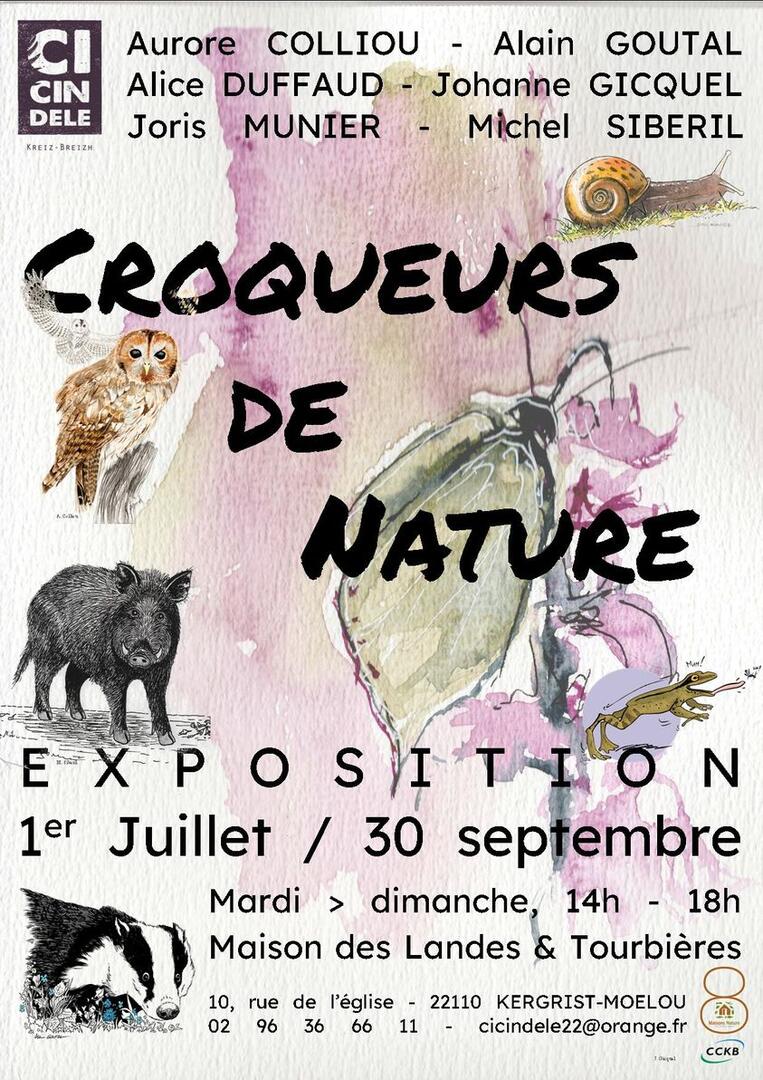 Expo été 2023 Cicindèle