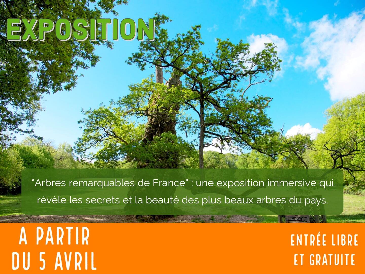 Exposition