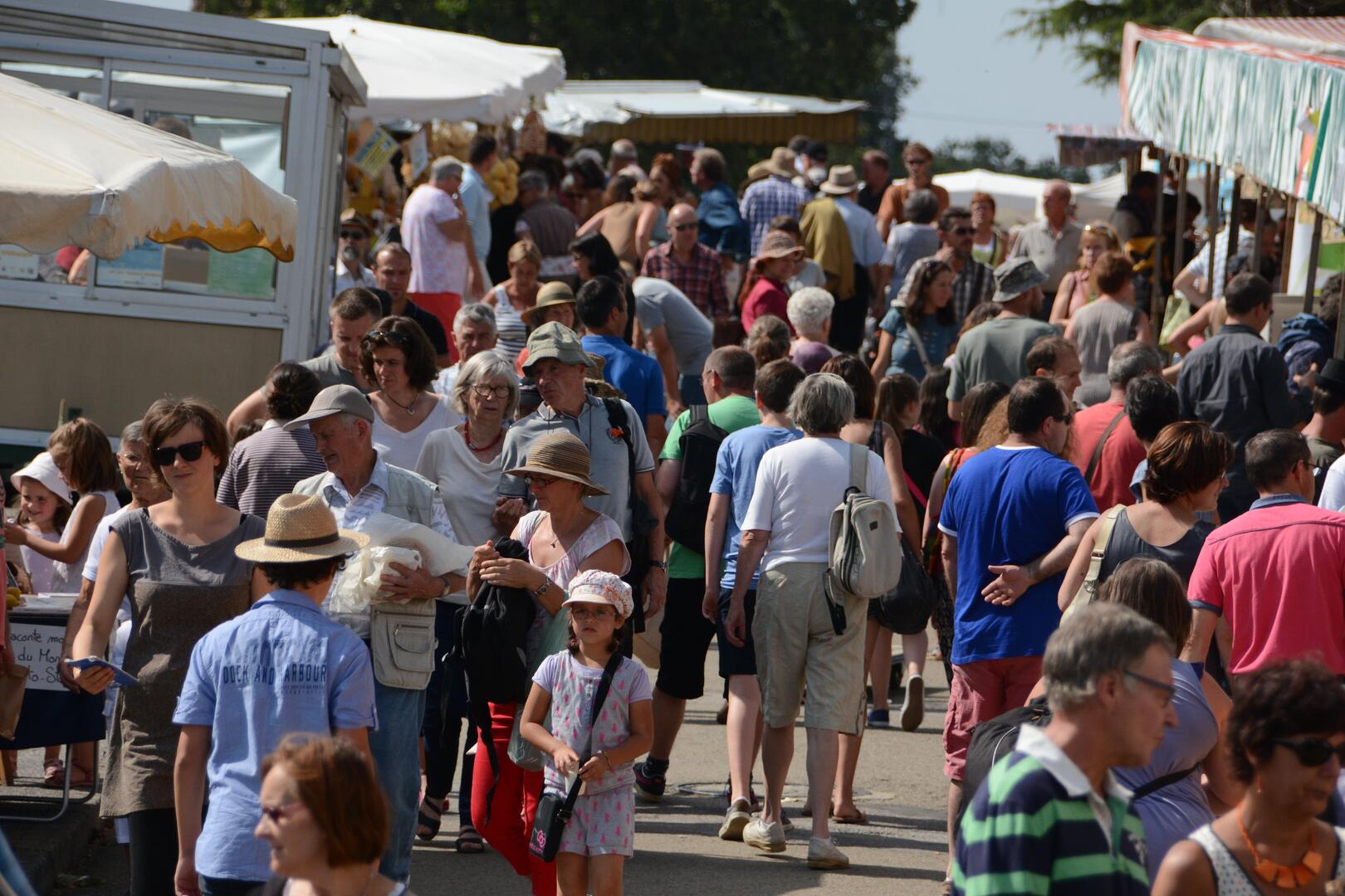 FoireBiozone
