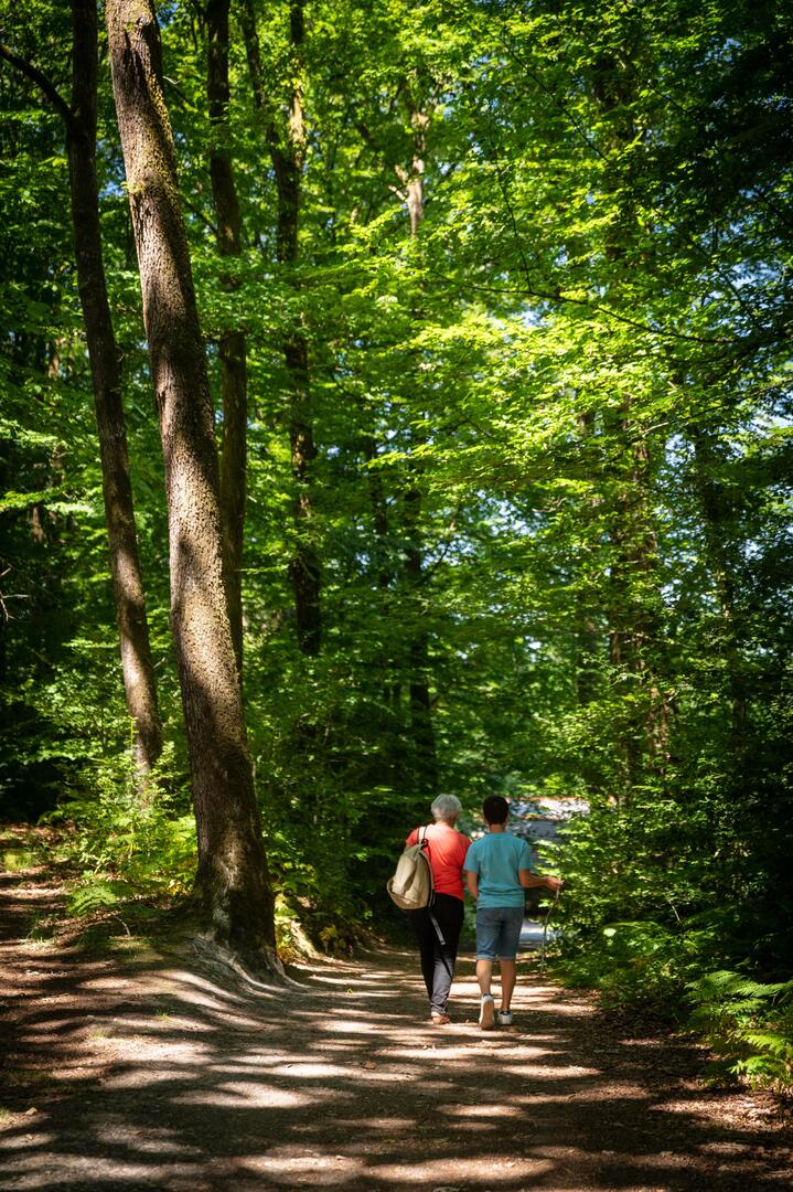 Forêt Corbière (6) ©Vitré Communauté - Mathieu Le Gall