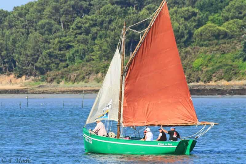 Fleur des Iles