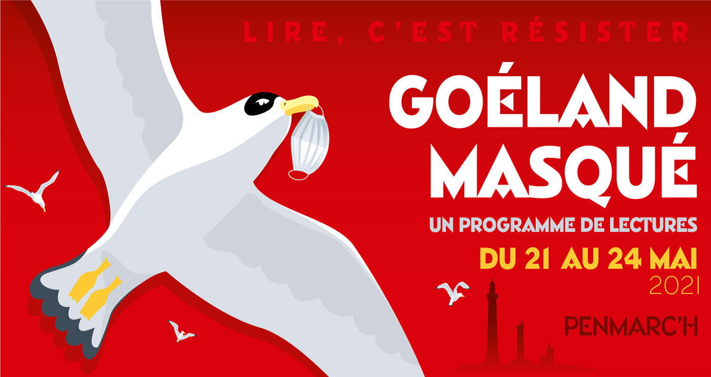 Goéland Masqué