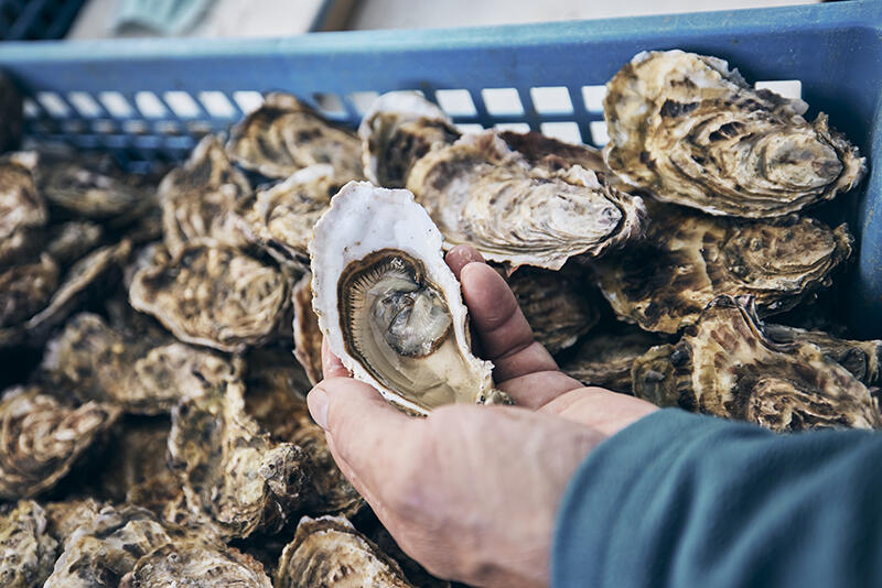 Marché Combrit - Pays Bigouden - Bigoudenjoy
