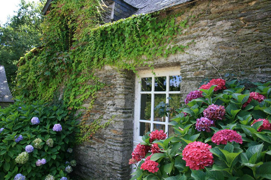 Gîte Nature de la Taberge Le Meunier à Sainte-Anne-sur-Vilaine