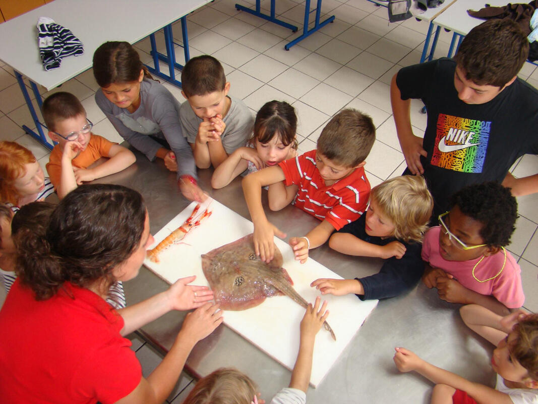 Atelier cuisine mini chefs - Haliotika - Guilvinec - Pays Bigouden