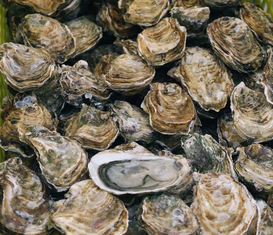 Huîtres @ Unsplash - Ben Stern