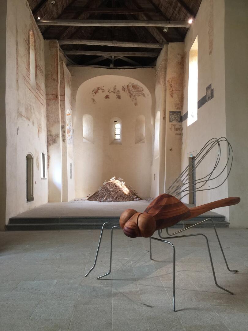 Insect--Inside----Magali-MALEUX